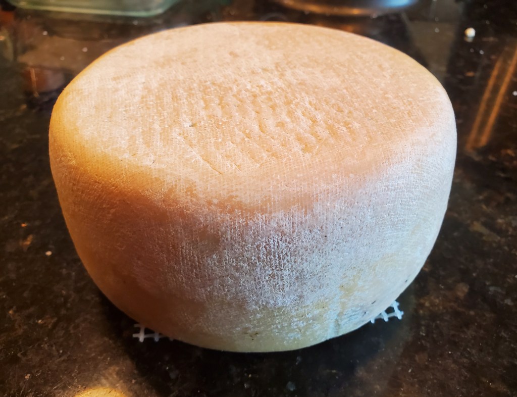 Sheep milk pecorino on black granite