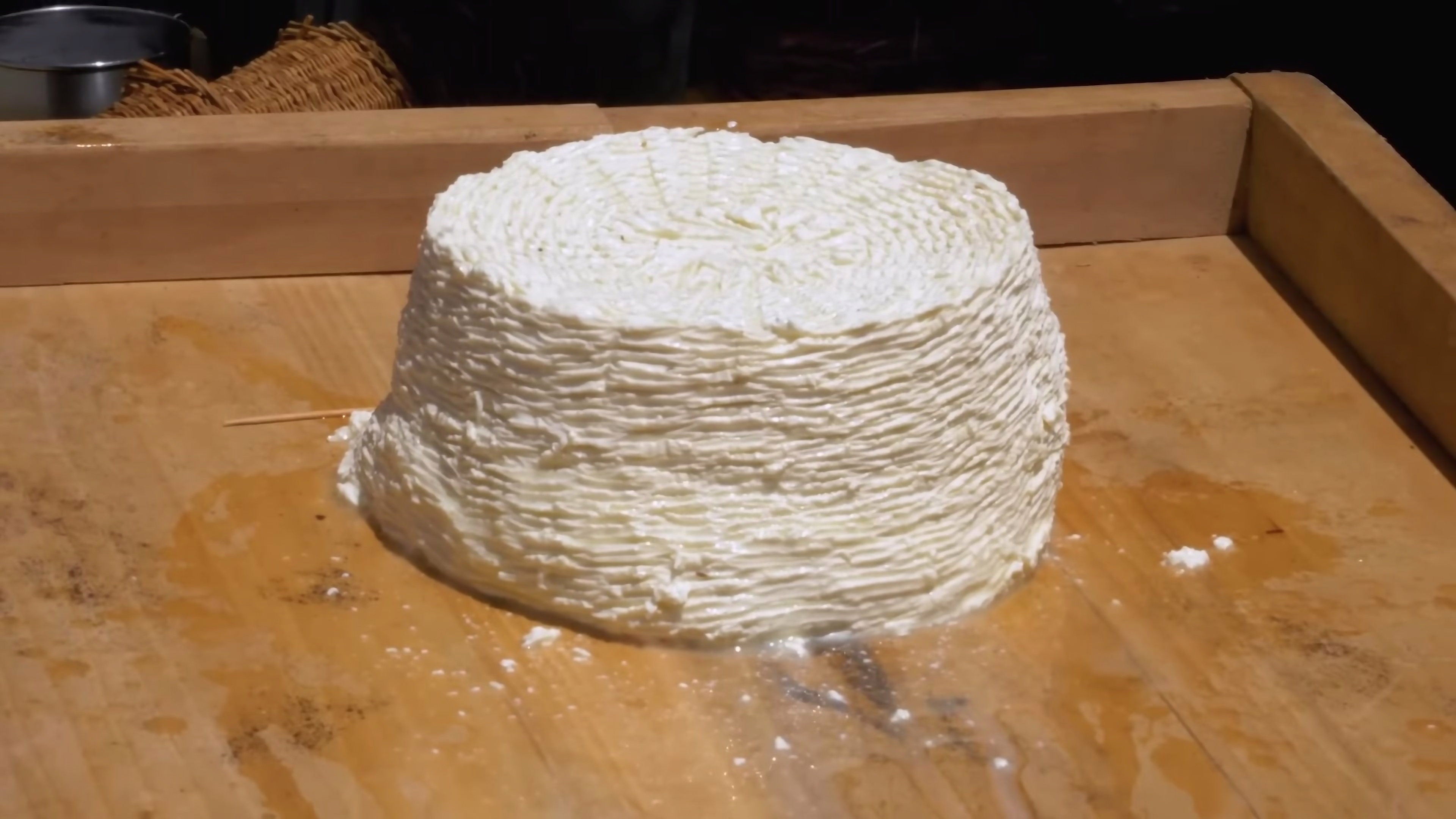 Ep 16: Milk Today, Cheese Tomorrow | Into The Curdverse
